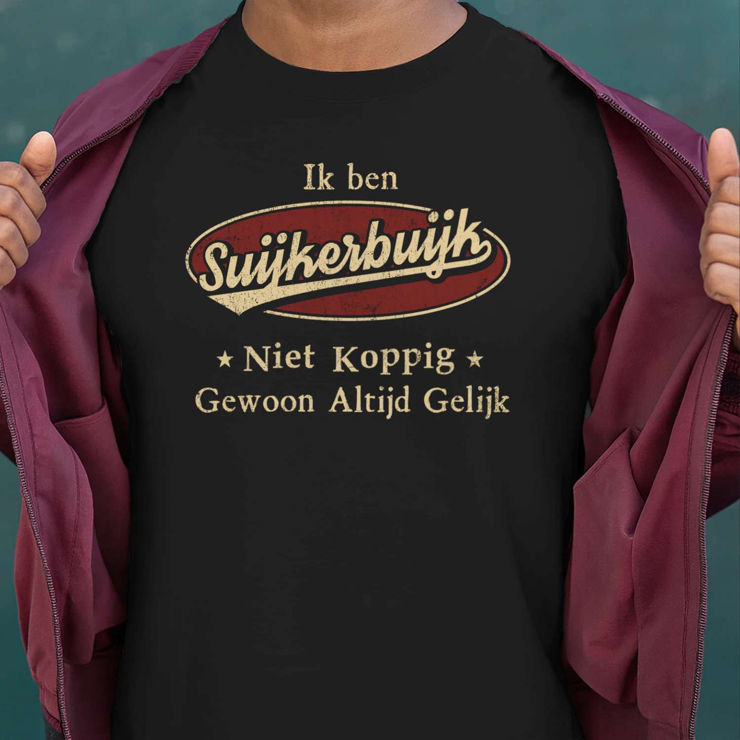 HL1017 SUIJKERBUIJK BSNL11