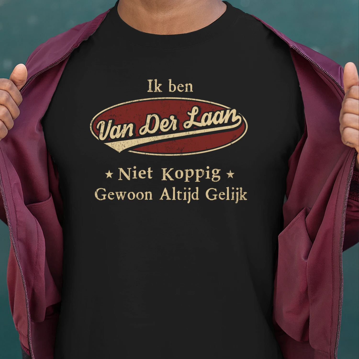 HL0081 VAN DER LAAN BSNL11