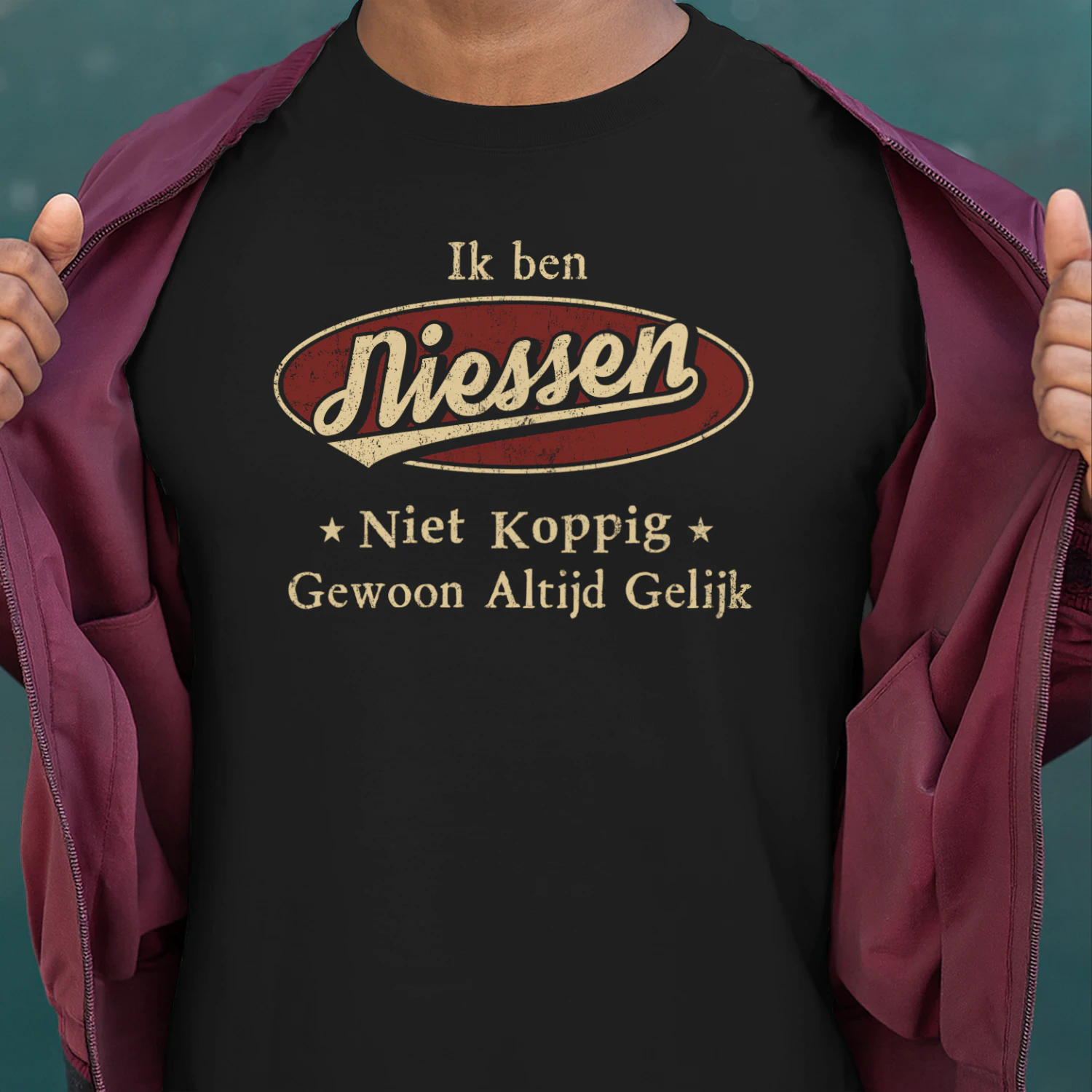 HL1089 NIESSEN BSNL11