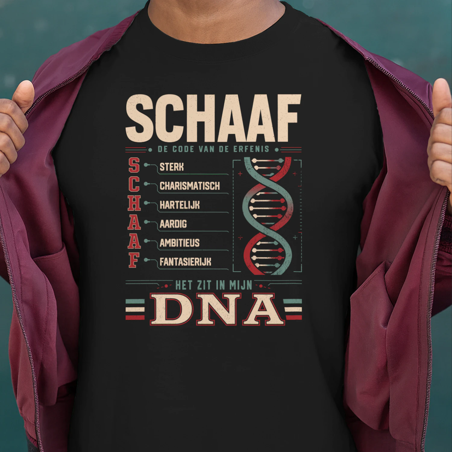 HL3162 SCHAAF HA18