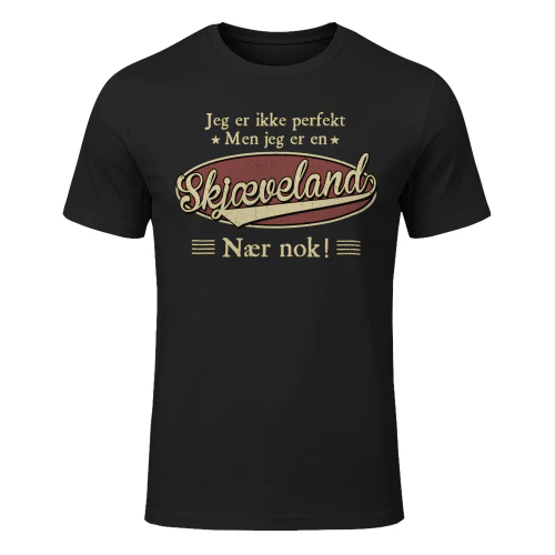 skjæveland-cno09-nno0354