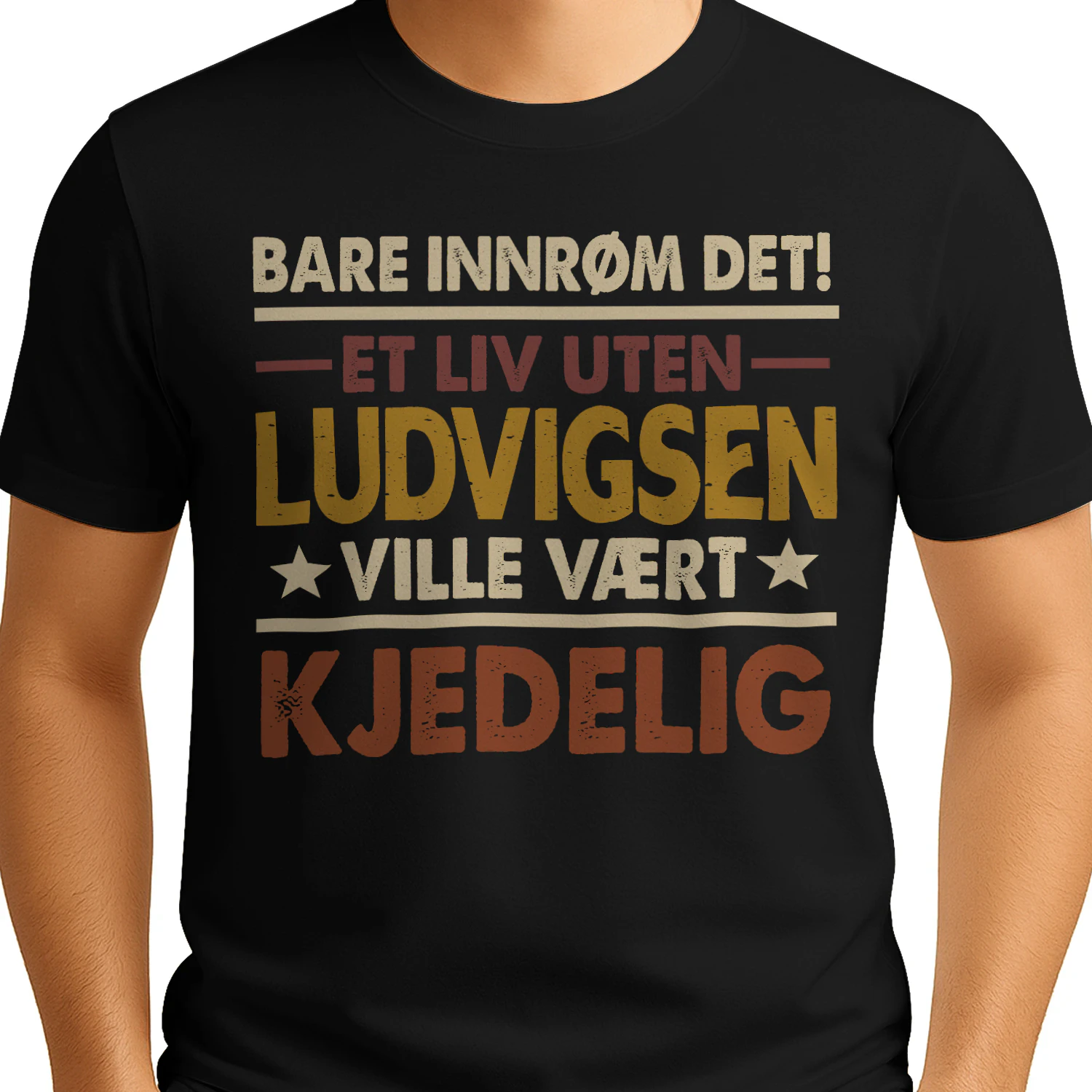 ludvigsen-cno101-nno0142