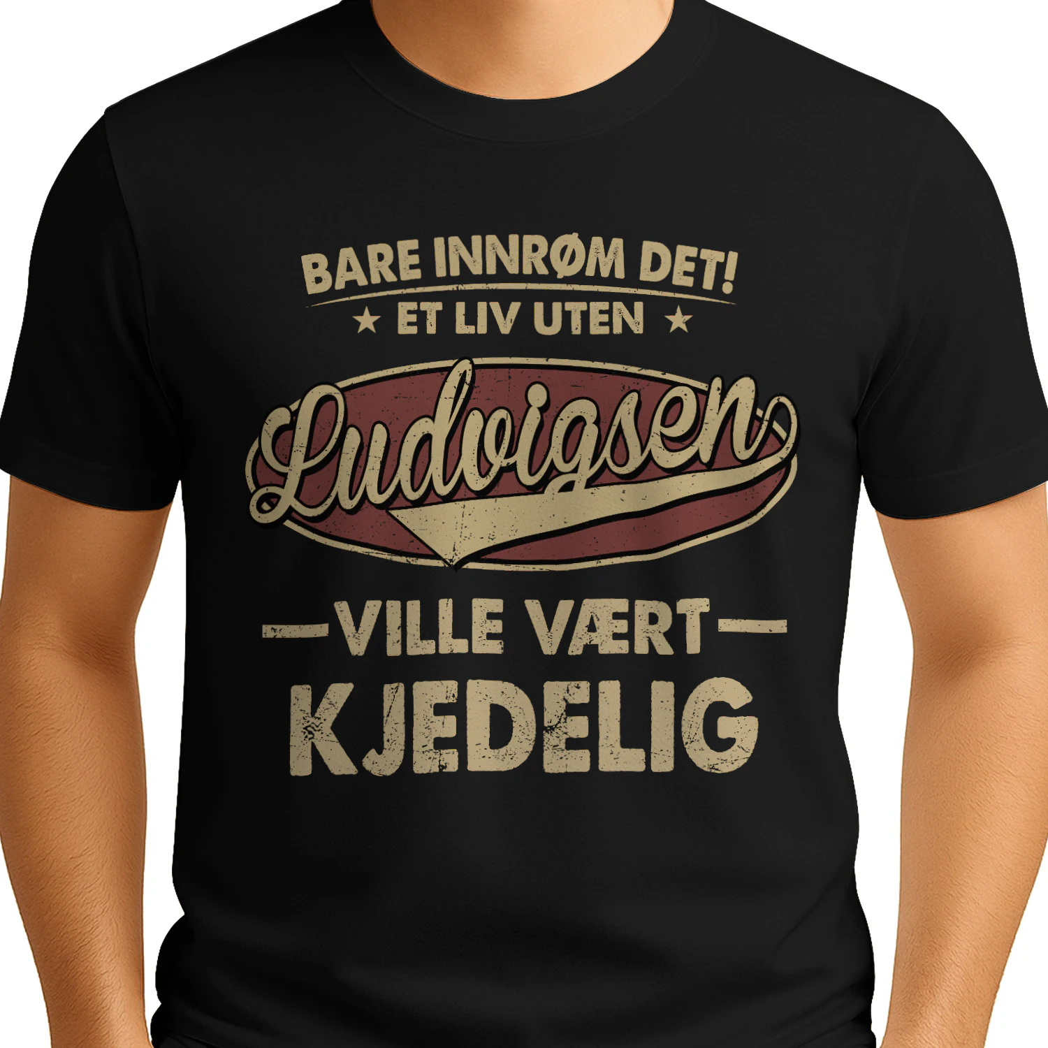 ludvigsen-cno16-nno0142
