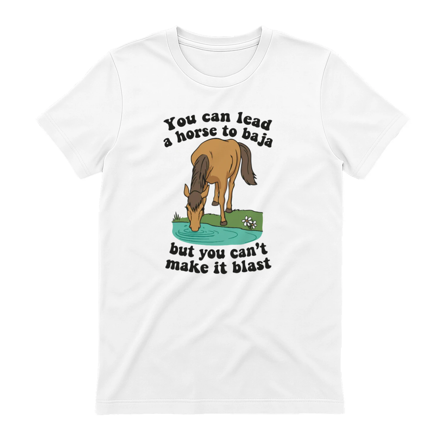 You Can Lead A Horse To Baja But You Can’t Make It Blast