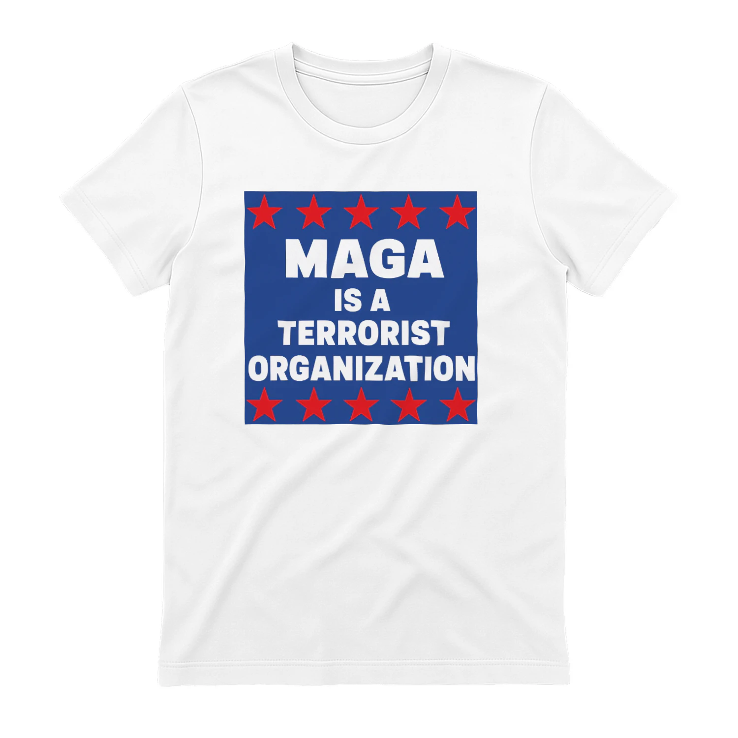 Terrorist Organization