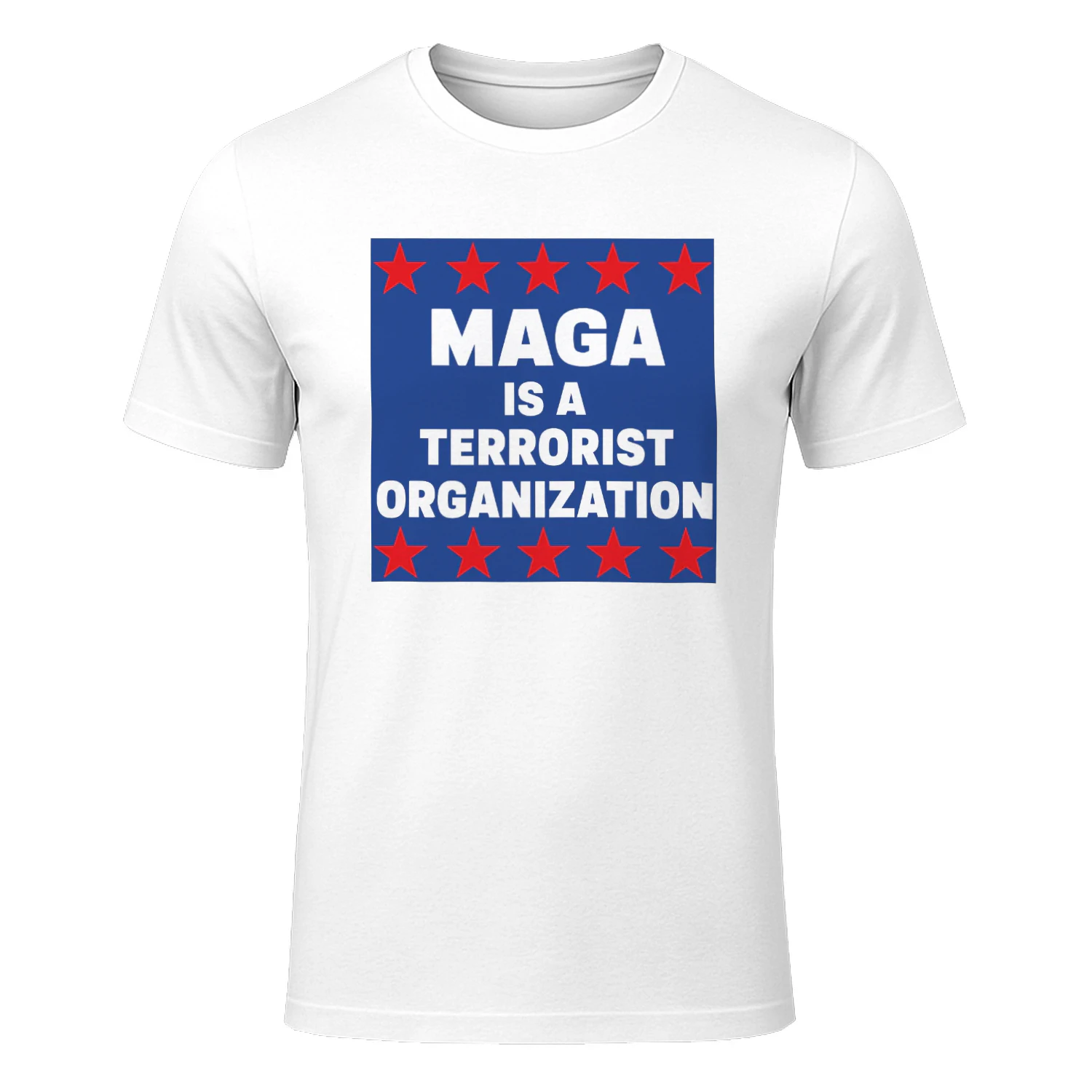 Terrorist Organization