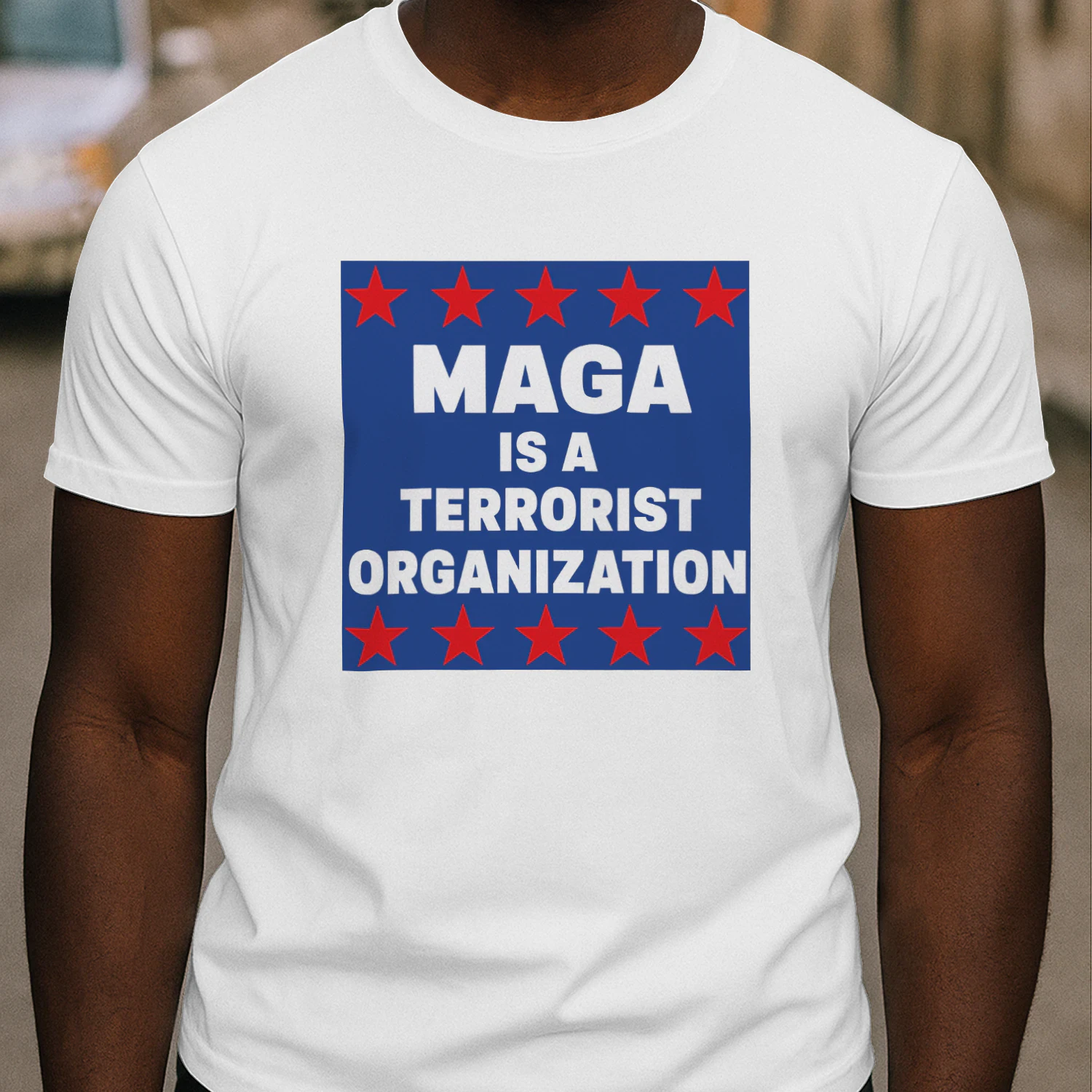 Terrorist Organization