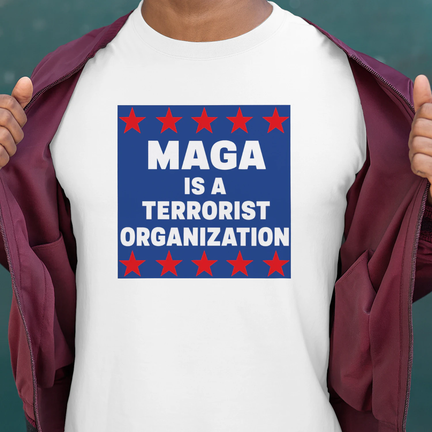 Terrorist Organization