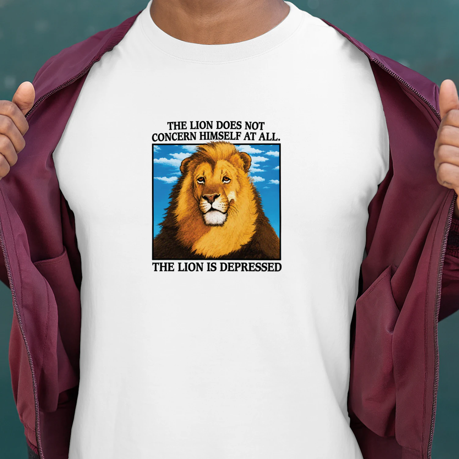 The Lion Does Not Concern