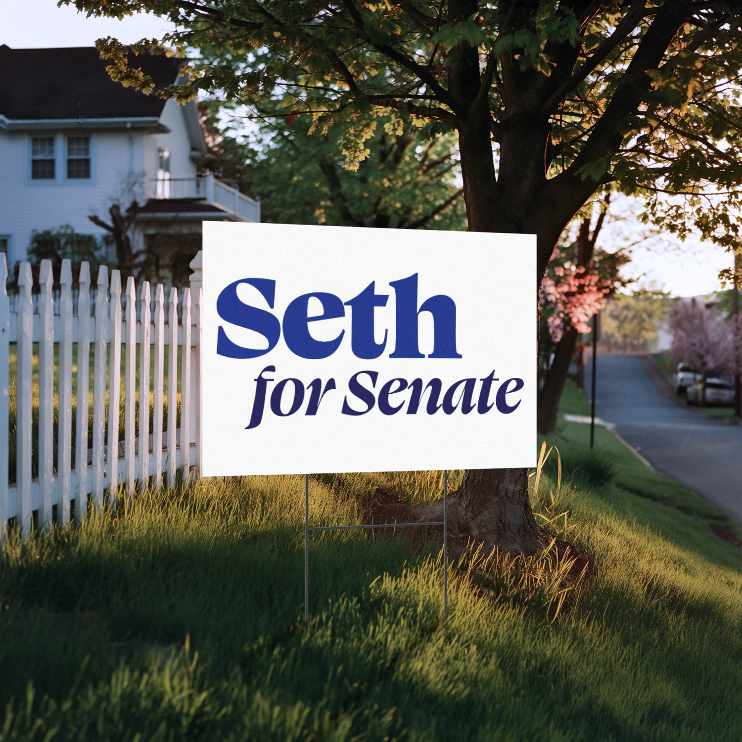 Seth Moulton For US Senate Yard Sign