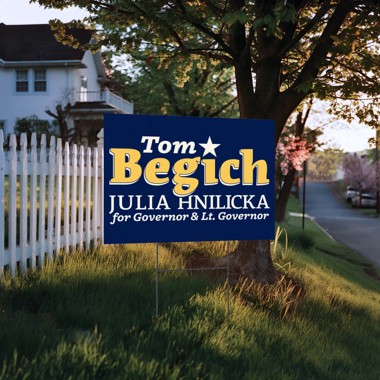 Tom Begich For Governor Yard Sign