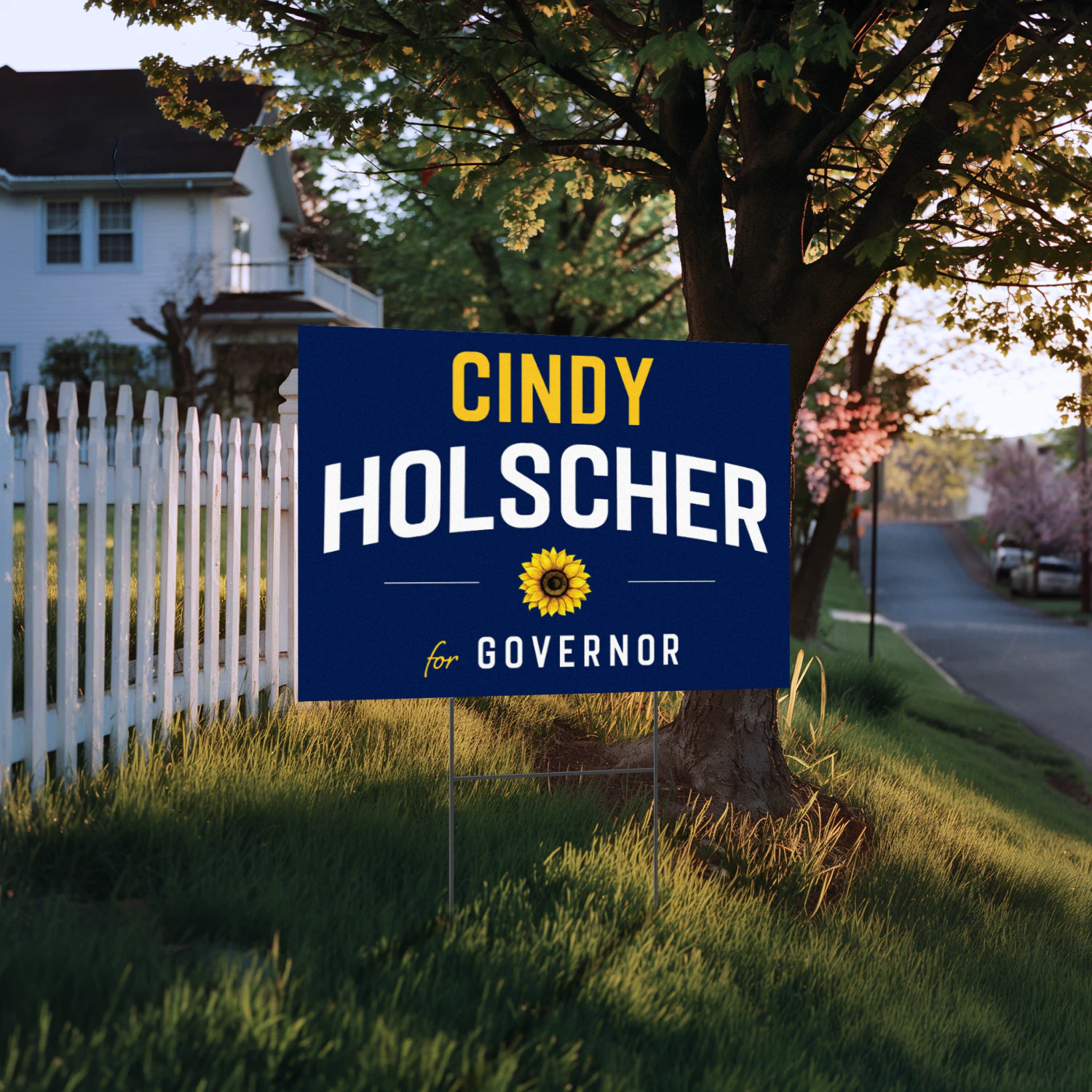 Cindy Holscher For Governor Yard Sign