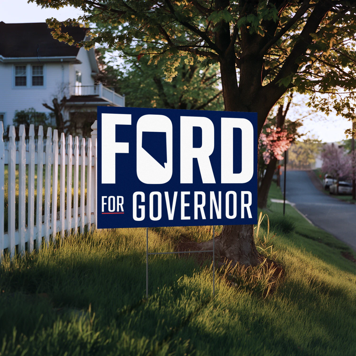 Aaron Ford For Governor Yard Sign