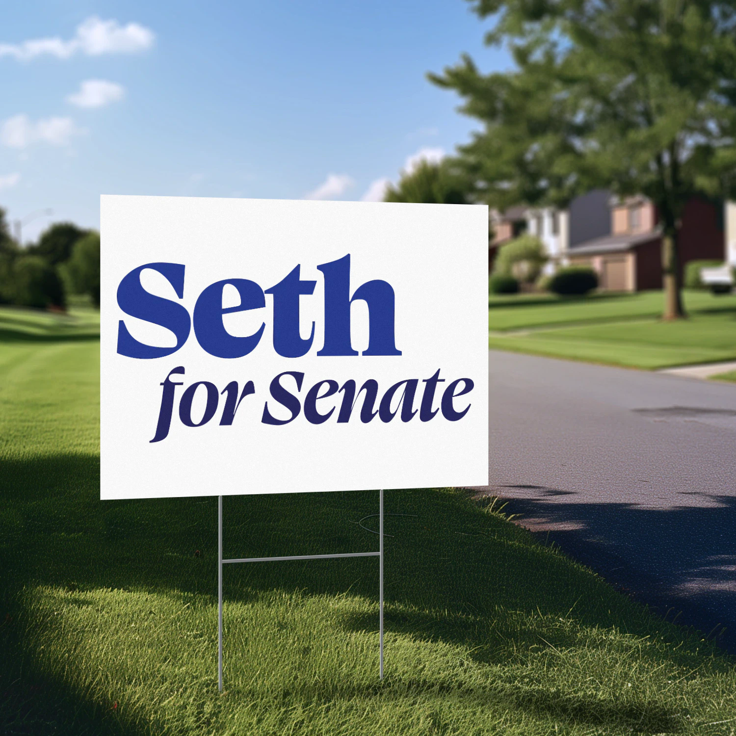 Seth Moulton For US Senate Yard Sign