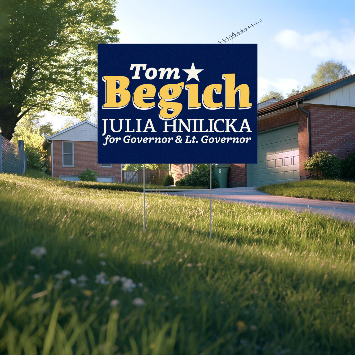Tom Begich For Governor Yard Sign