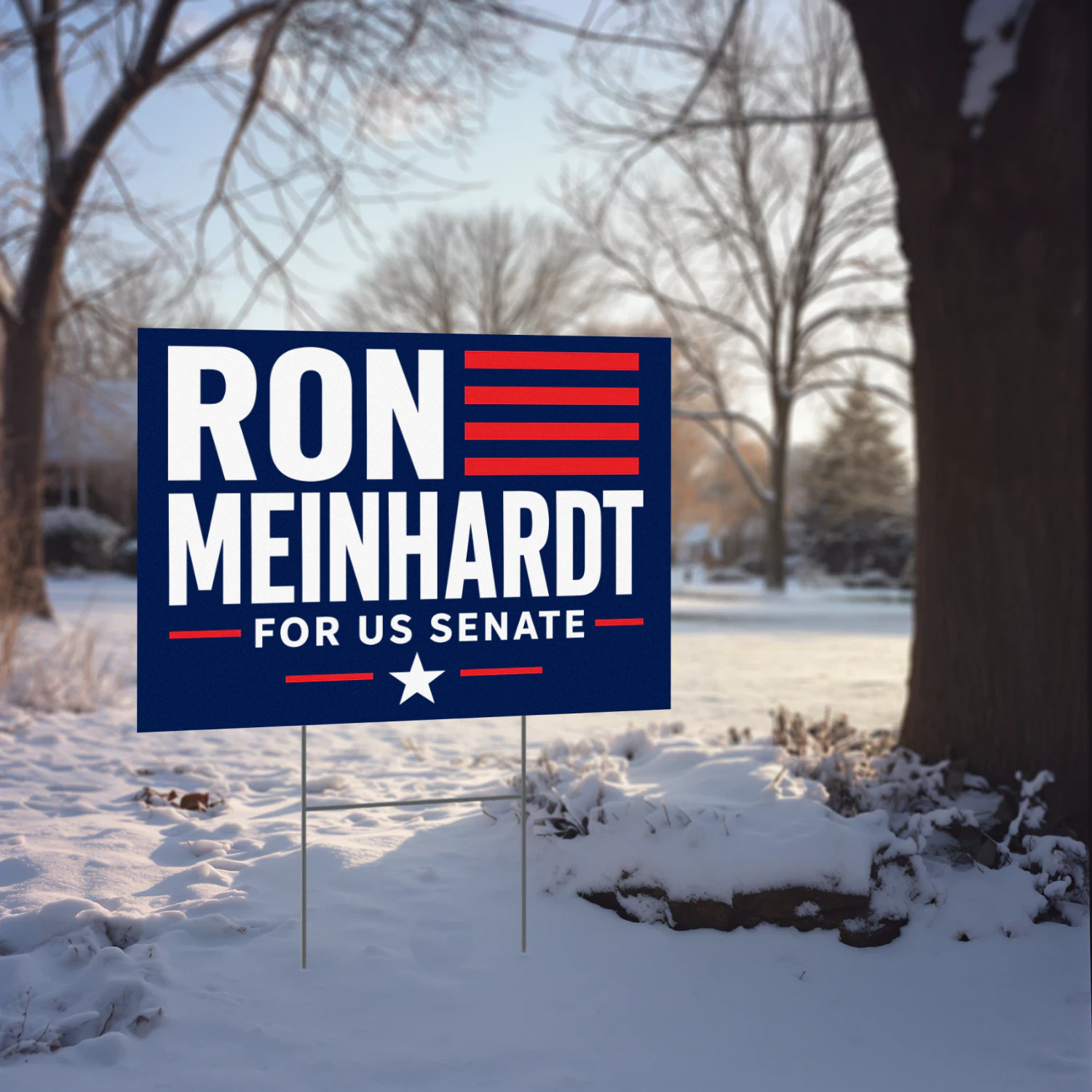 Ron Meinhardt for Senate Yard Sign