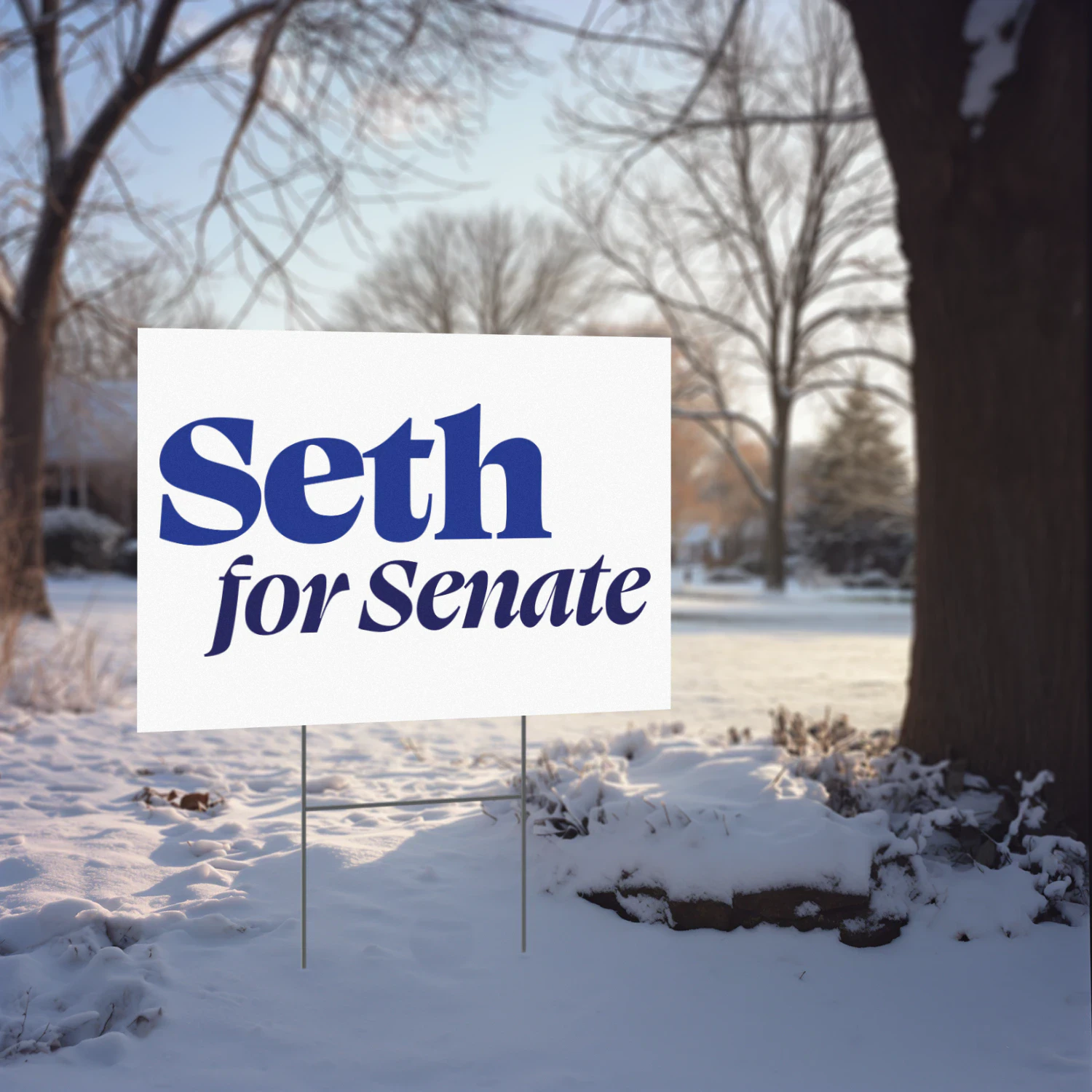 Seth Moulton For US Senate Yard Sign