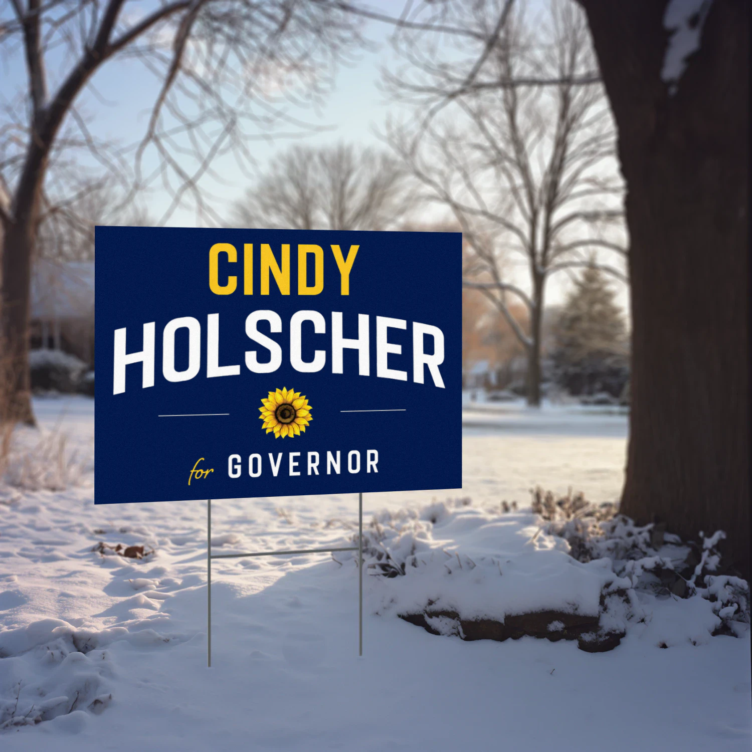 Cindy Holscher For Governor Yard Sign