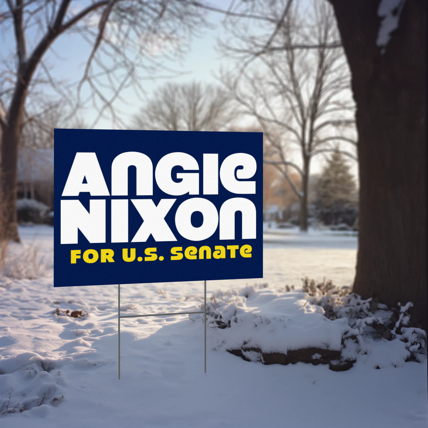 Angie Nixon for US Senate Yard Sign