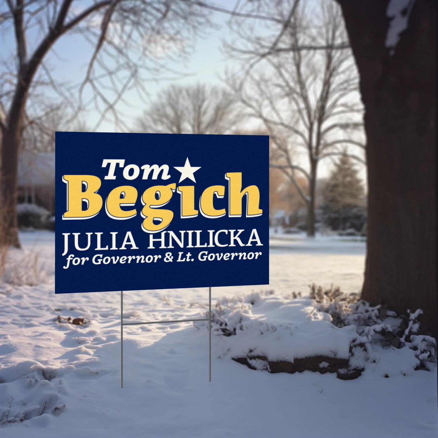 Tom Begich For Governor Yard Sign