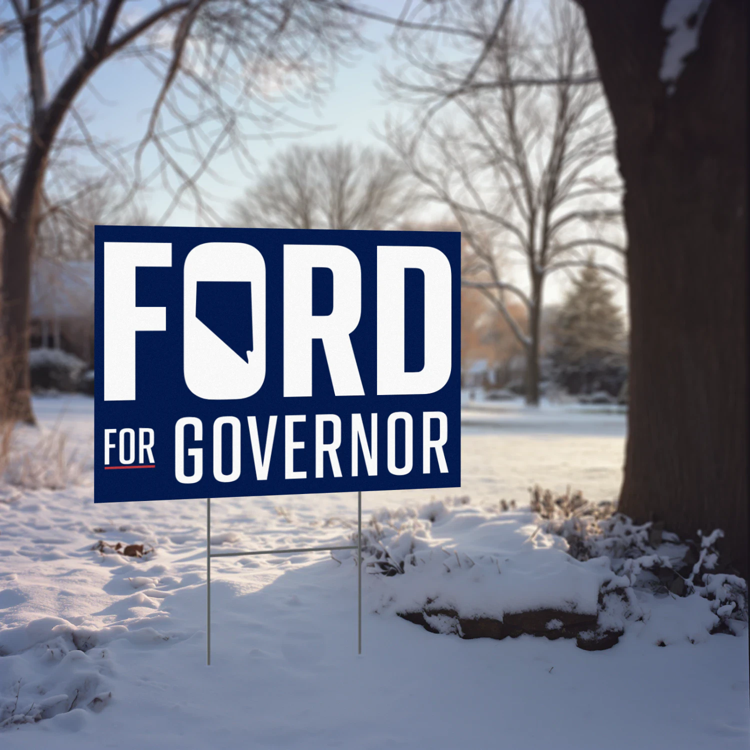 Aaron Ford For Governor Yard Sign