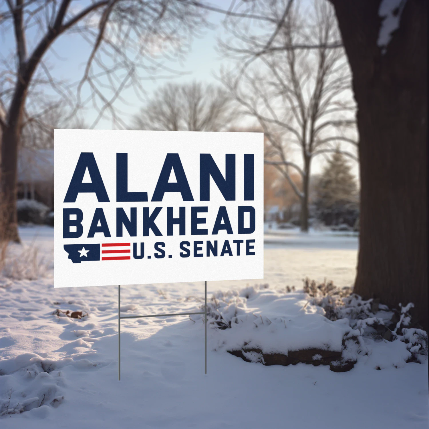 Alani Bankhead For US Senate Yard Sign
