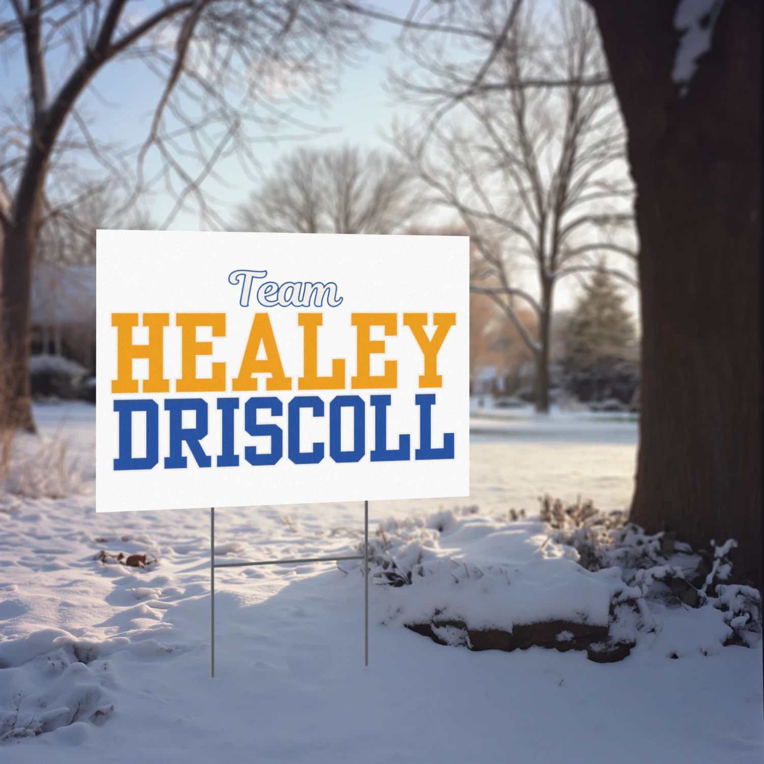 Maura Healey For Governor Yard Sign