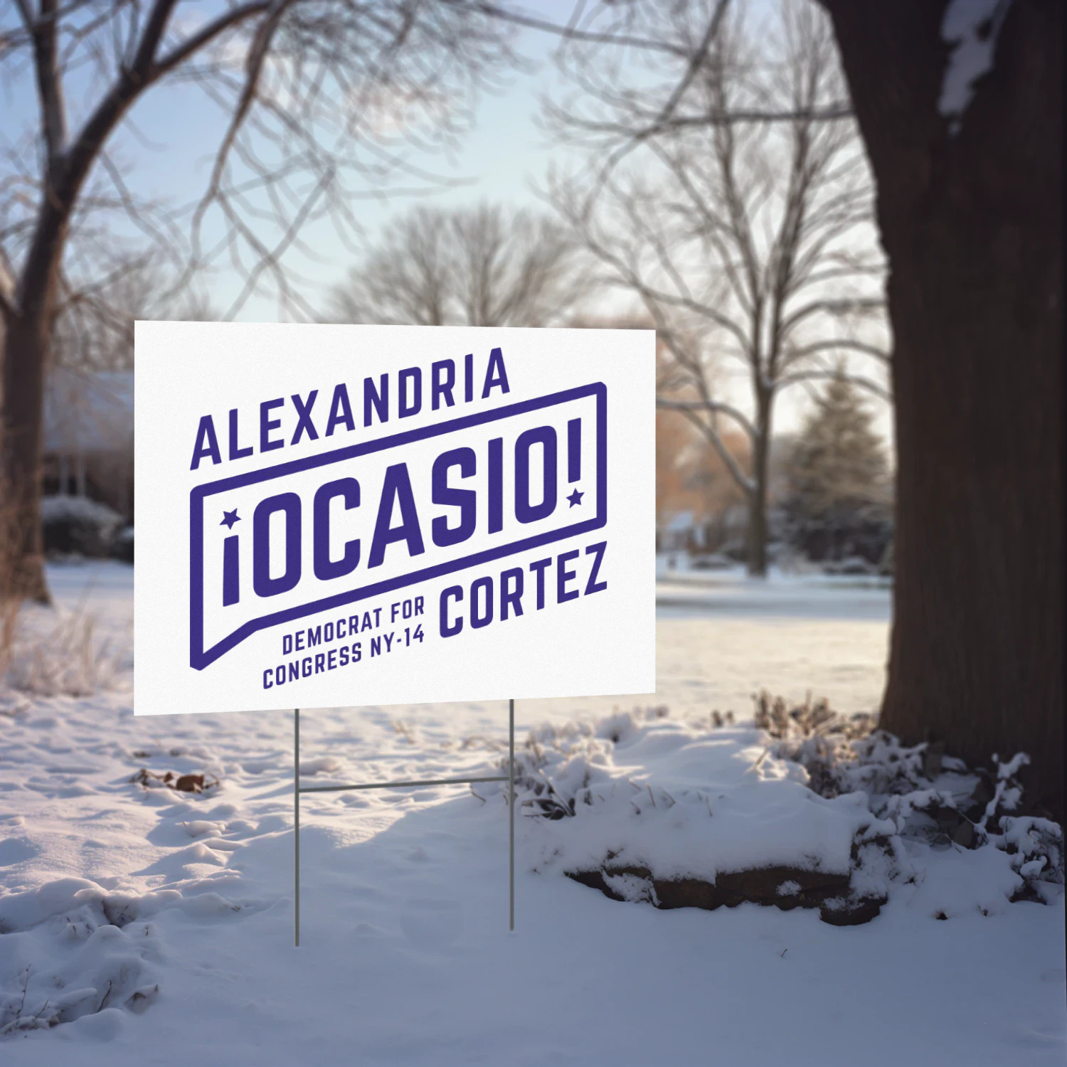 AOC Alexandria Ocasio Cortez President Yard Sign