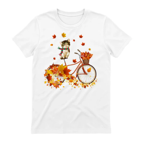 CAT FALL BYCICLE.png