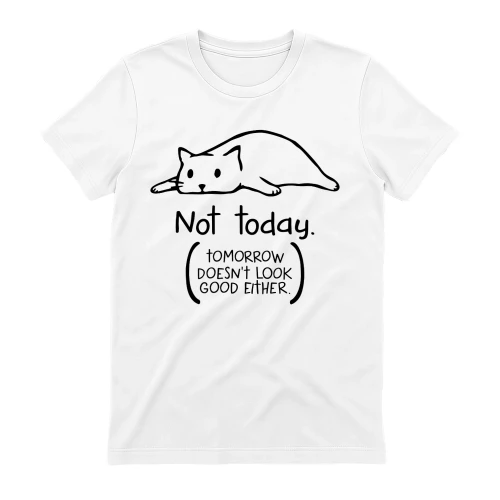 CAT NOT TODAY DS.png