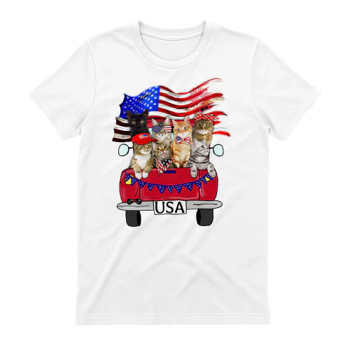 CAT TRUCK USA.png