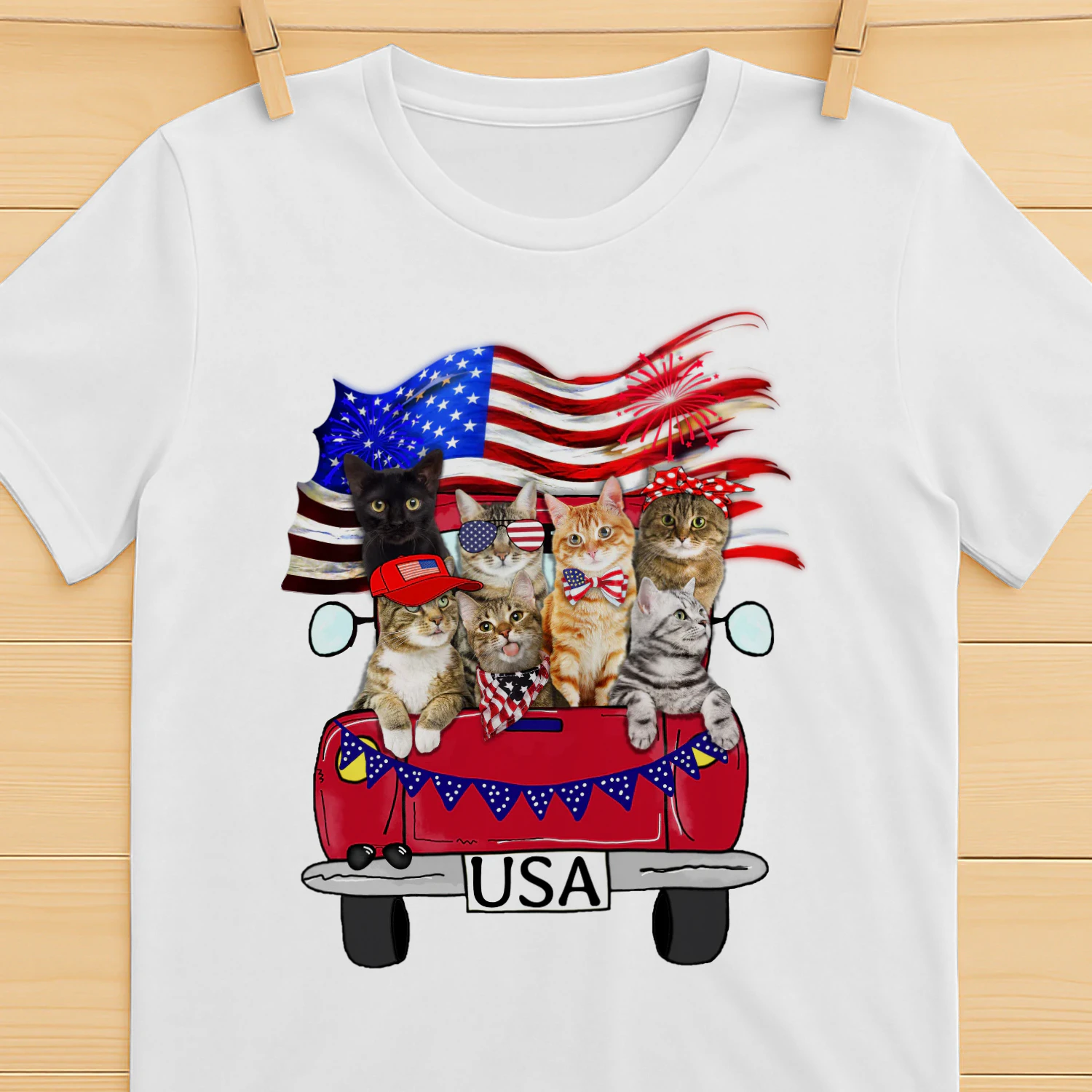 CAT TRUCK USA.png