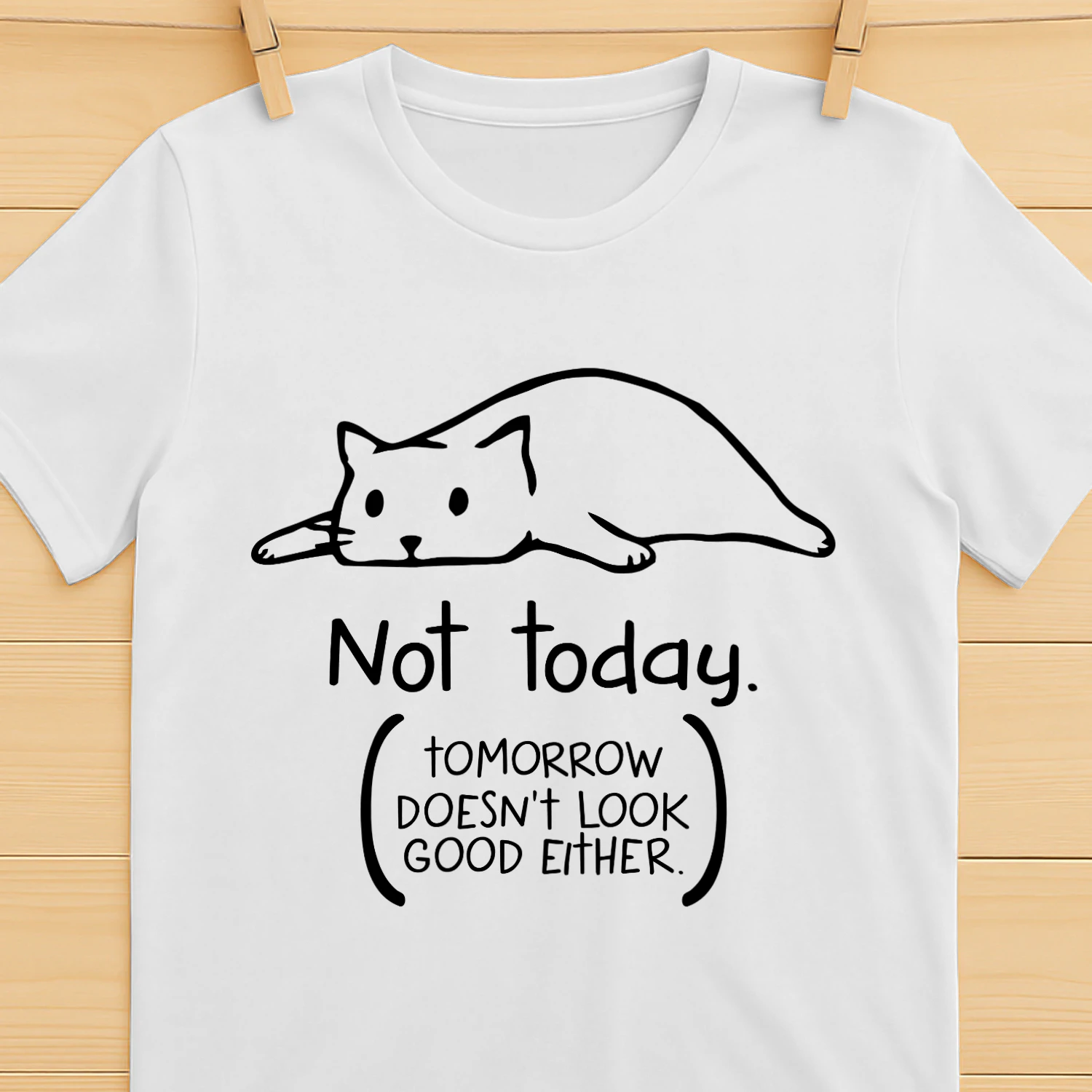 CAT NOT TODAY DS.png