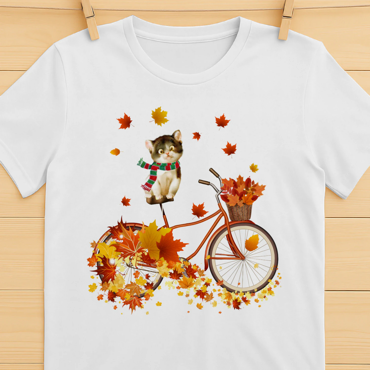 CAT FALL BYCICLE.png