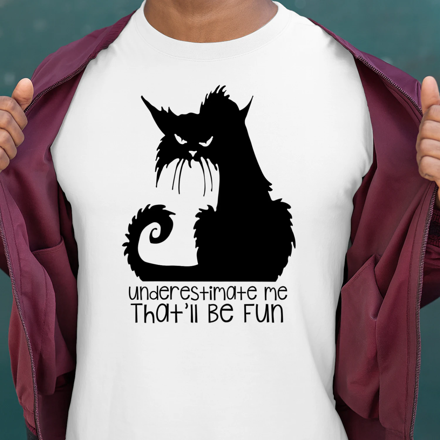 CAT  BE FUN.png
