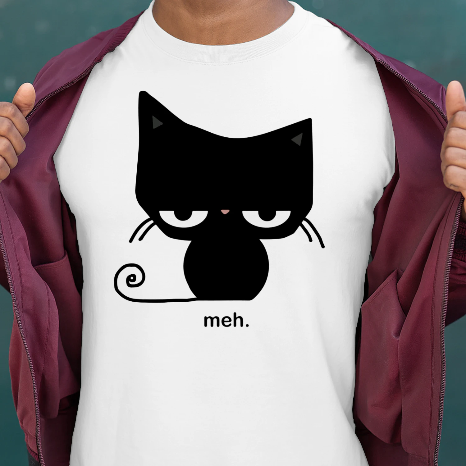 CAT MEH.png