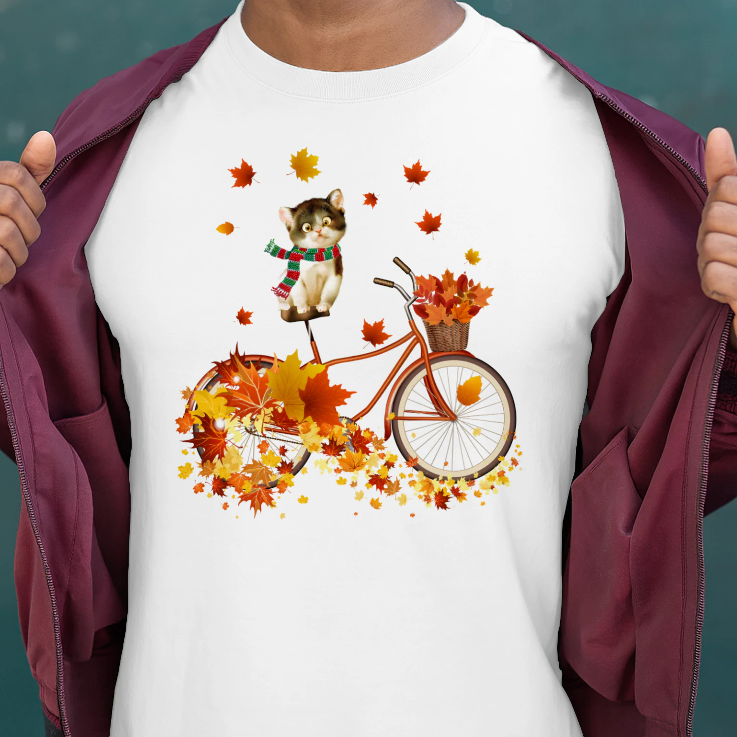 CAT FALL BYCICLE.png