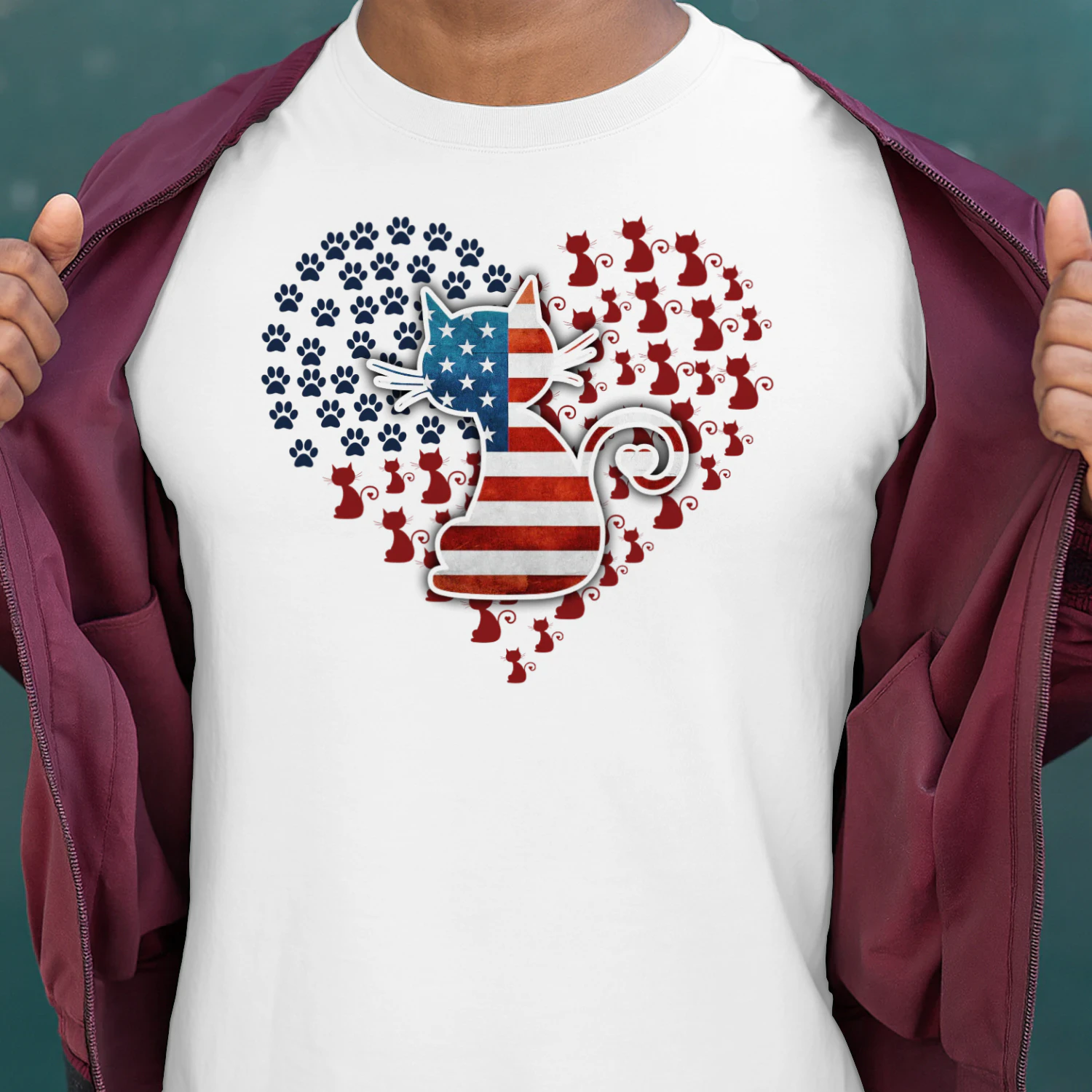 CAT USA DS.png
