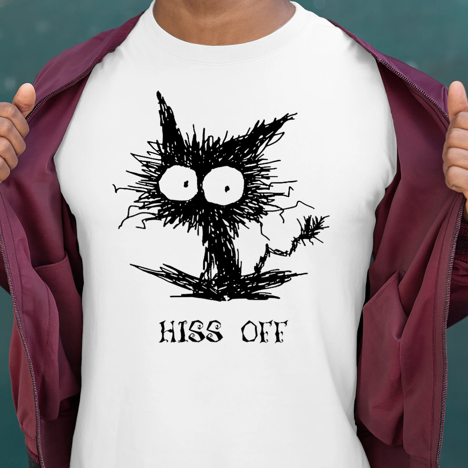 CAT HISS OFF.png