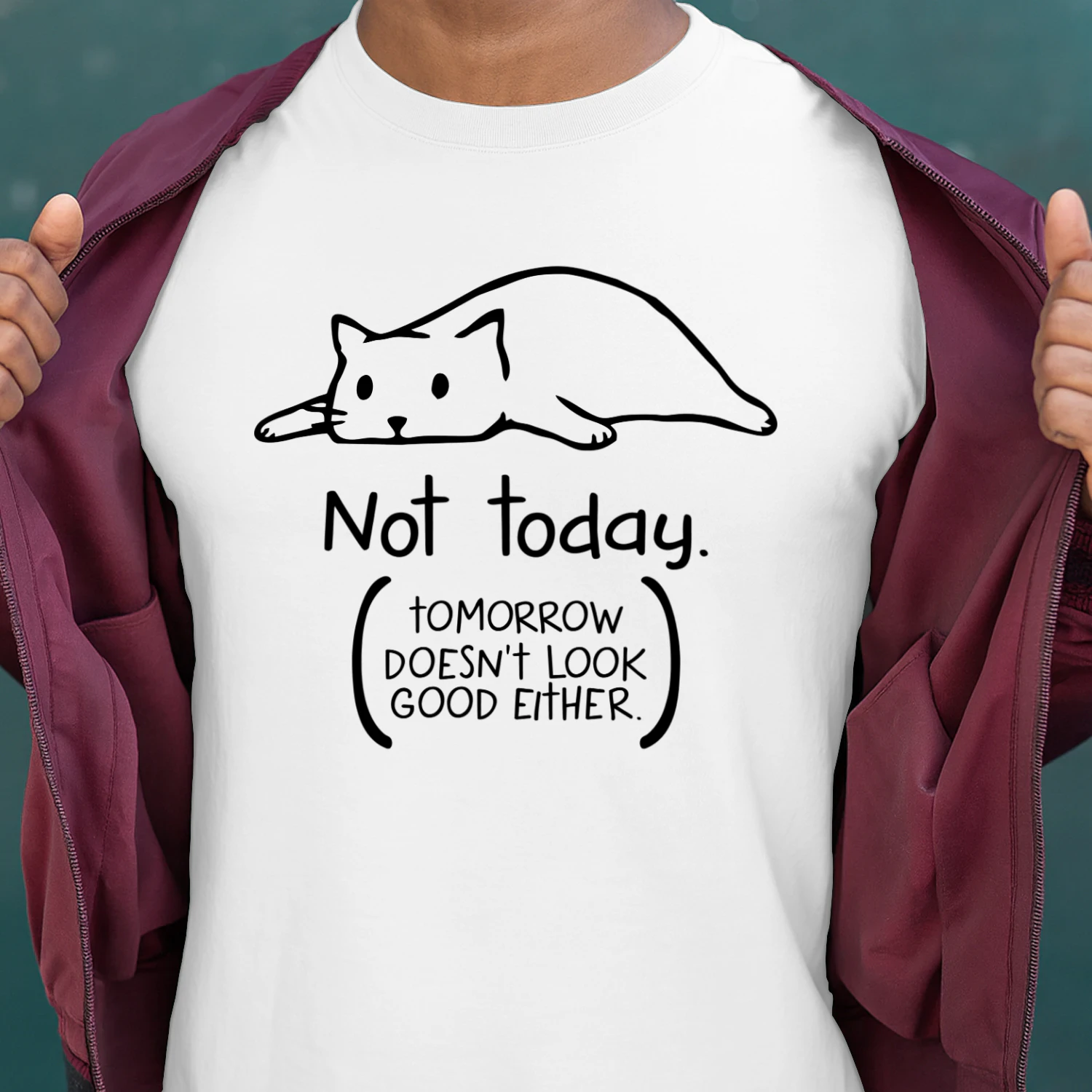 CAT NOT TODAY DS.png