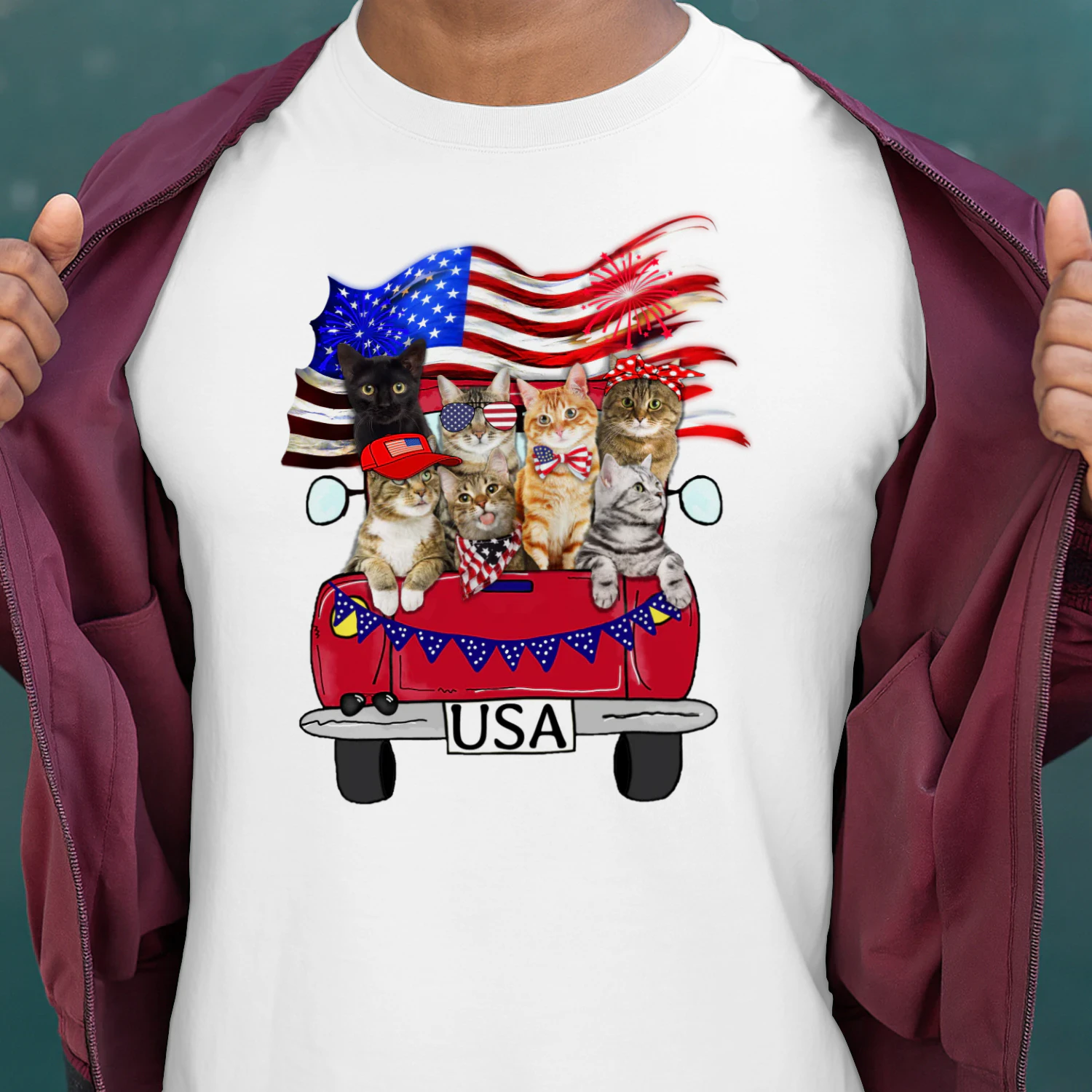 CAT TRUCK USA.png
