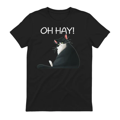 CAT OH HAY.png