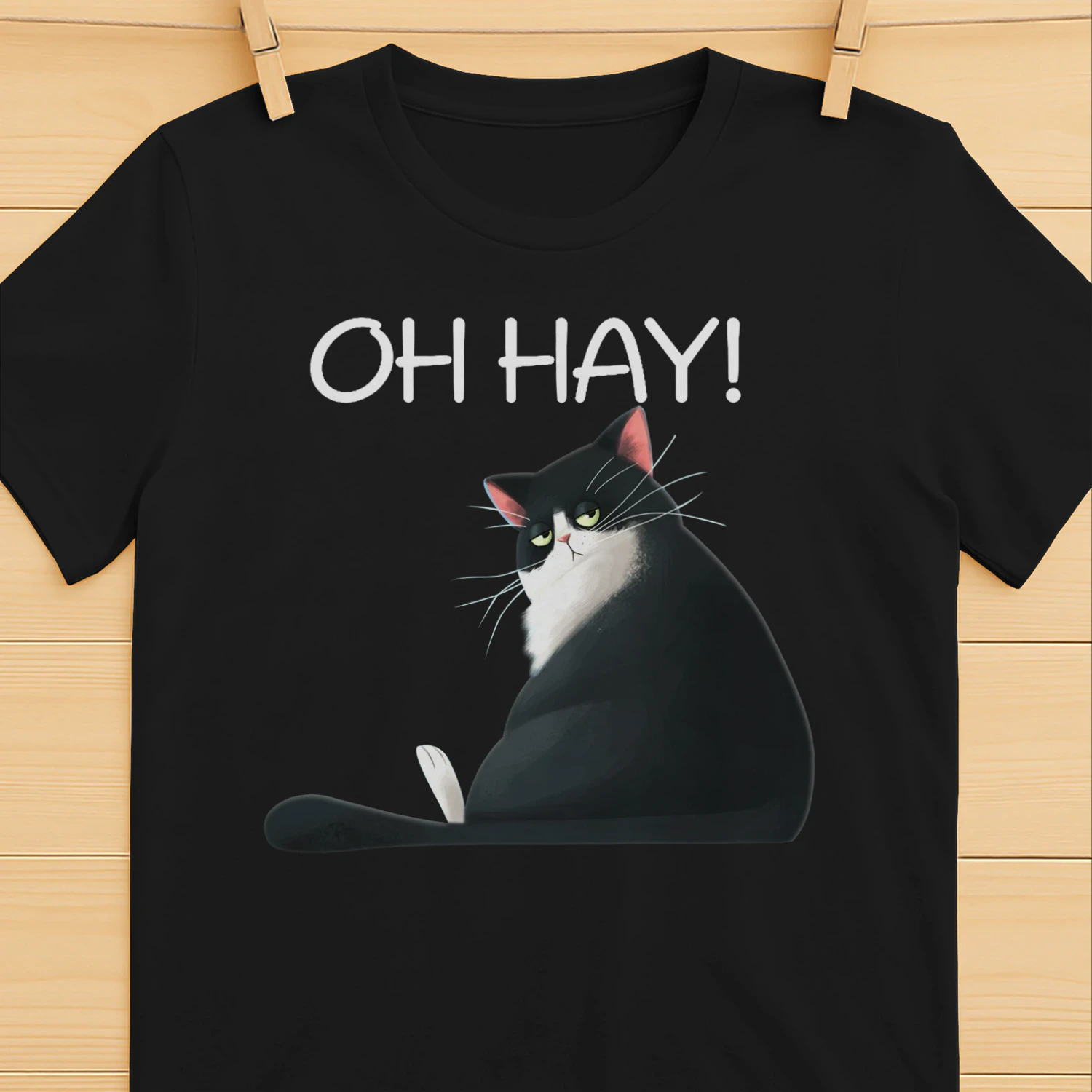 CAT OH HAY.png