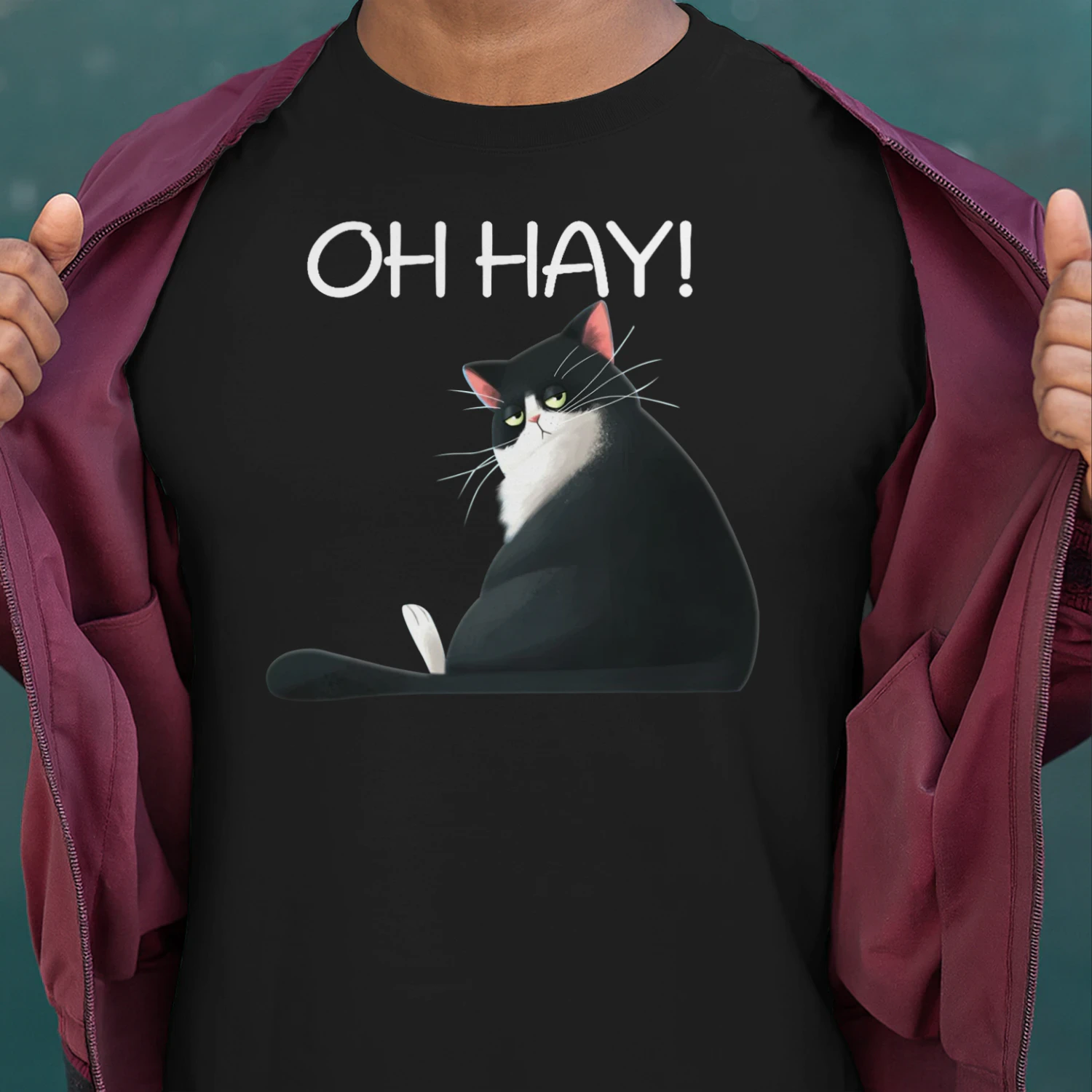 CAT OH HAY.png