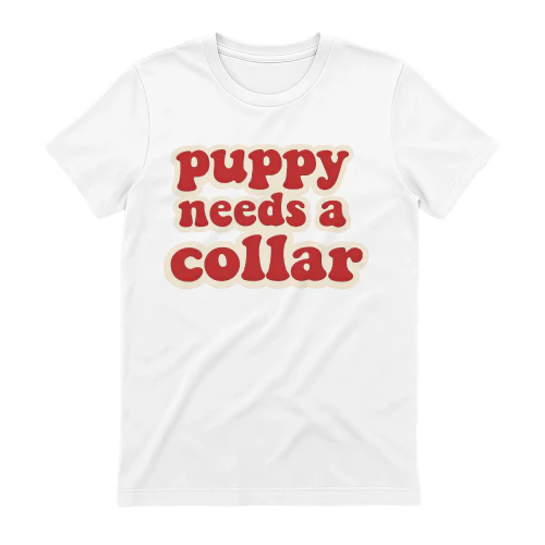 Puppy needs a collar