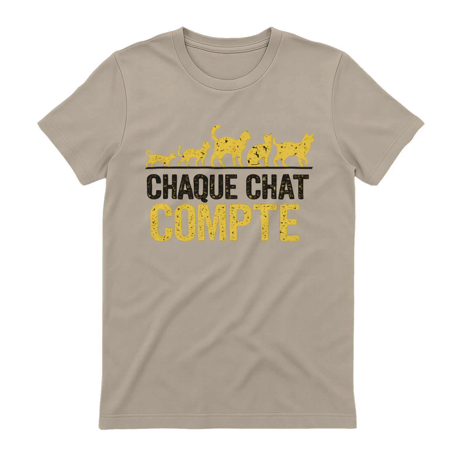 Chaque Chat Compte⭐