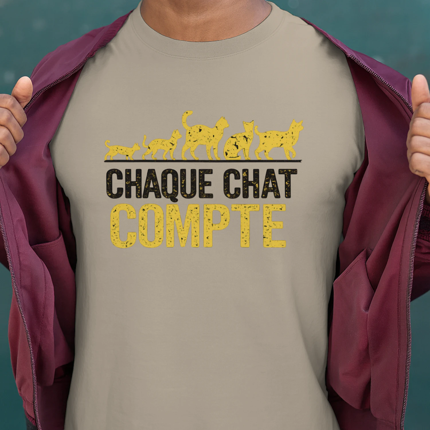 Chaque Chat Compte⭐