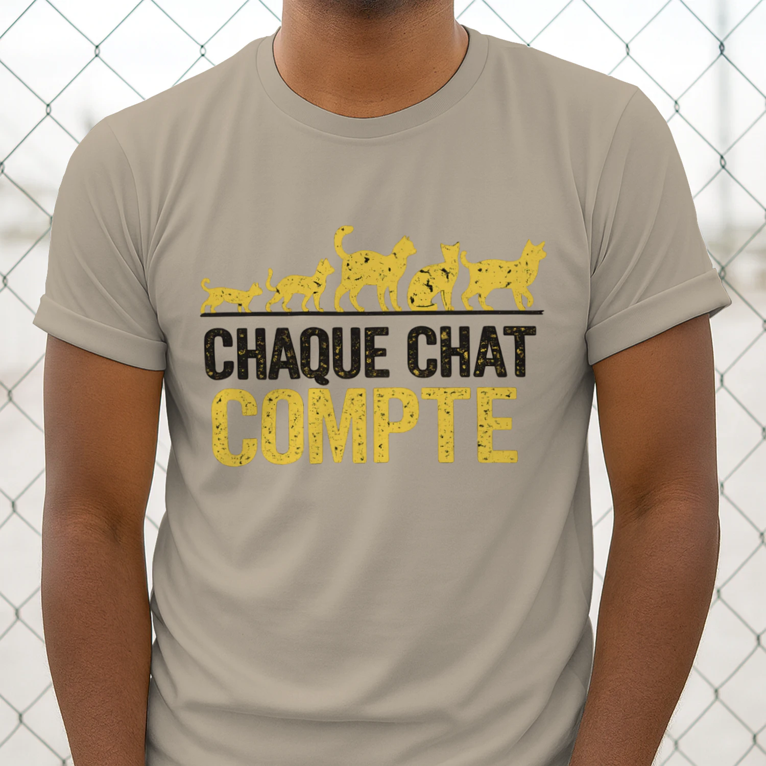 Chaque Chat Compte⭐