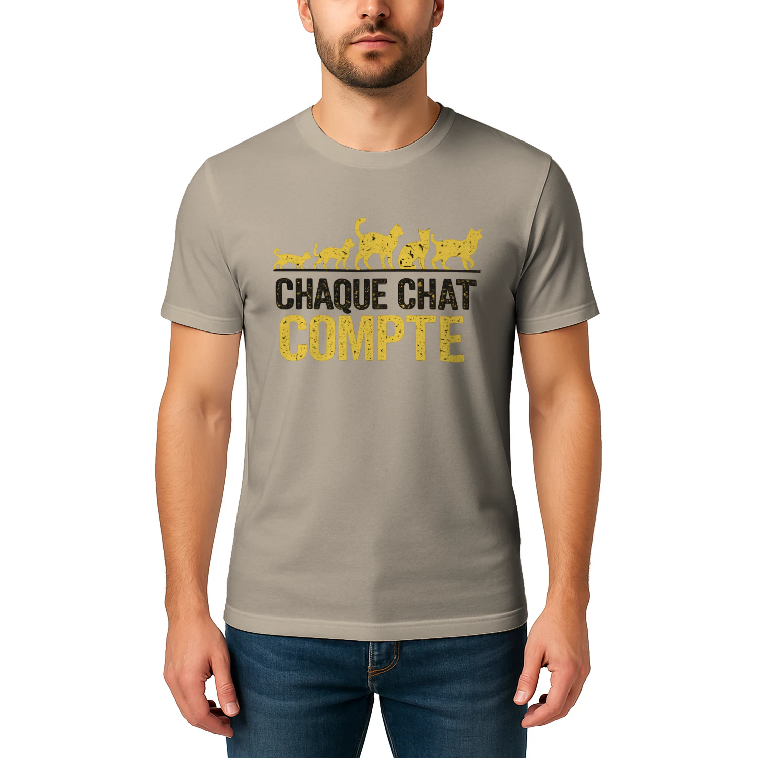 Chaque Chat Compte⭐