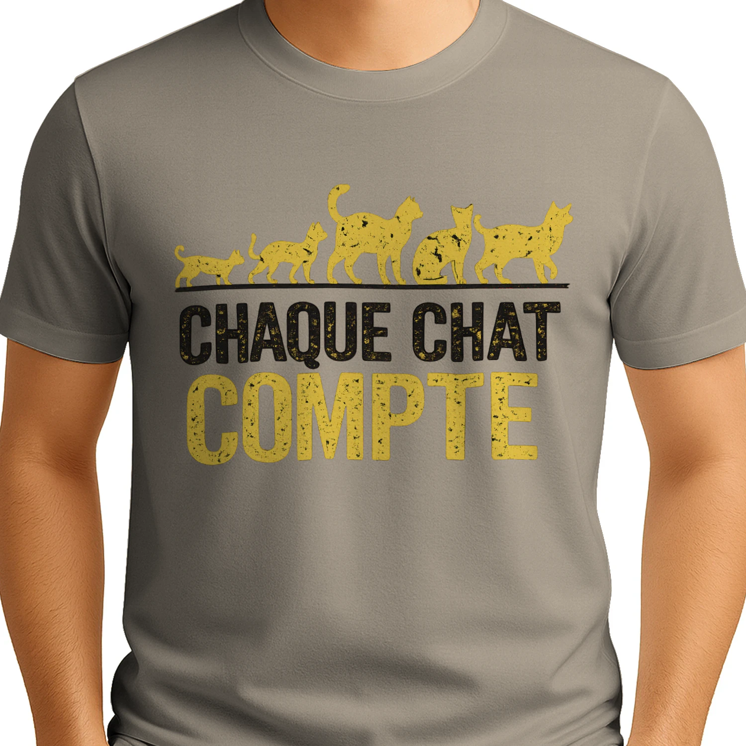 Chaque Chat Compte⭐